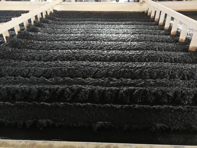 固体废物污泥中含有细沙,化学纤维,动植物残体等固态颗粒物以及